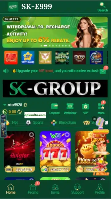 SK-E999 Game Download APK (New Earning App) 2026 for Android in Pakistan 2 sk-e999 game app download interface
